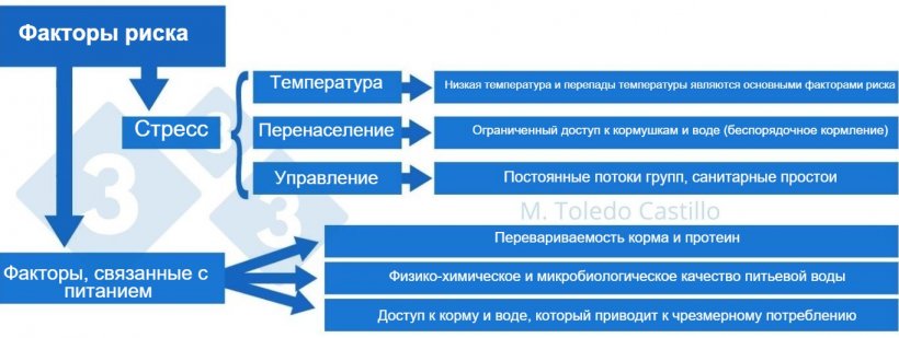 Диаграмма 2: Факторы риска, связанные с&nbsp; колибактериозом&nbsp;
